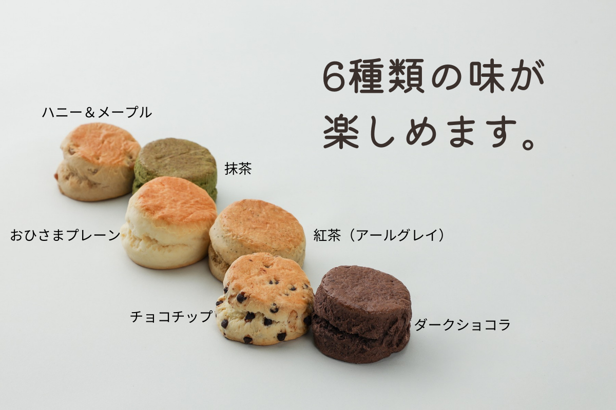 定番セット(6個セット)